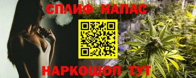 гидра Дубна