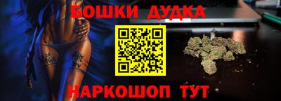 гидра Дубна