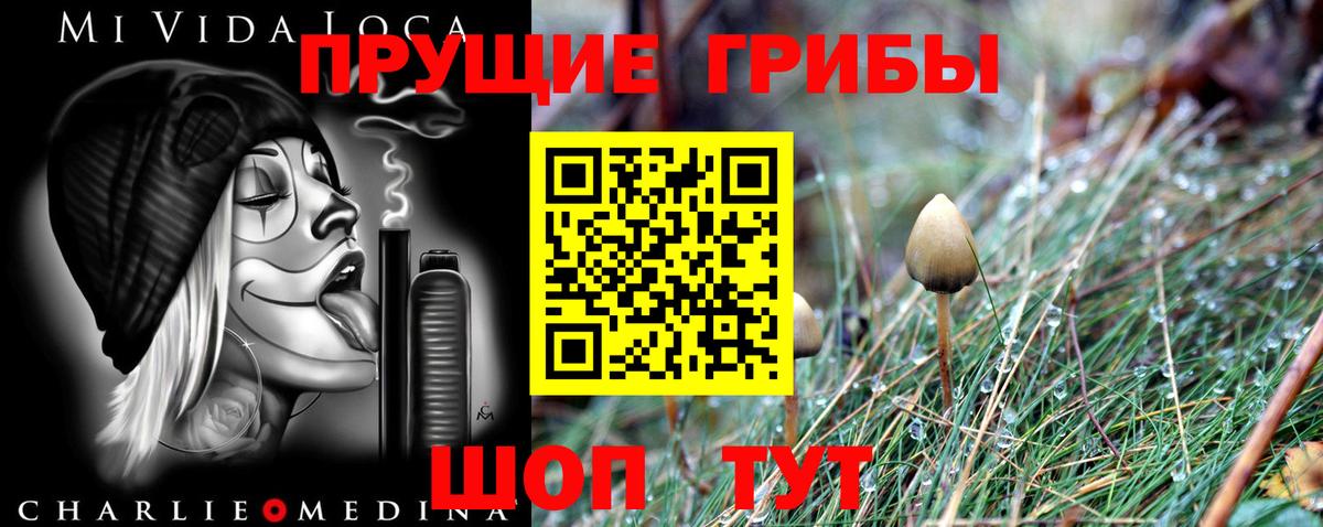Майский  Галлюциногенные грибы Psilocybine cubensis  Вход с VPN 