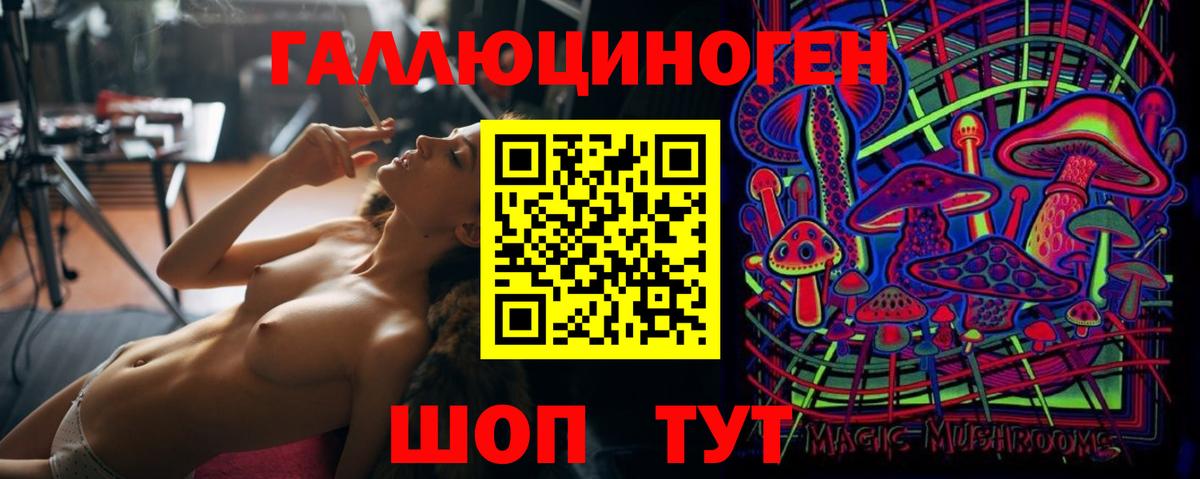 Псилоцибиновые грибы Psilocybe Майский